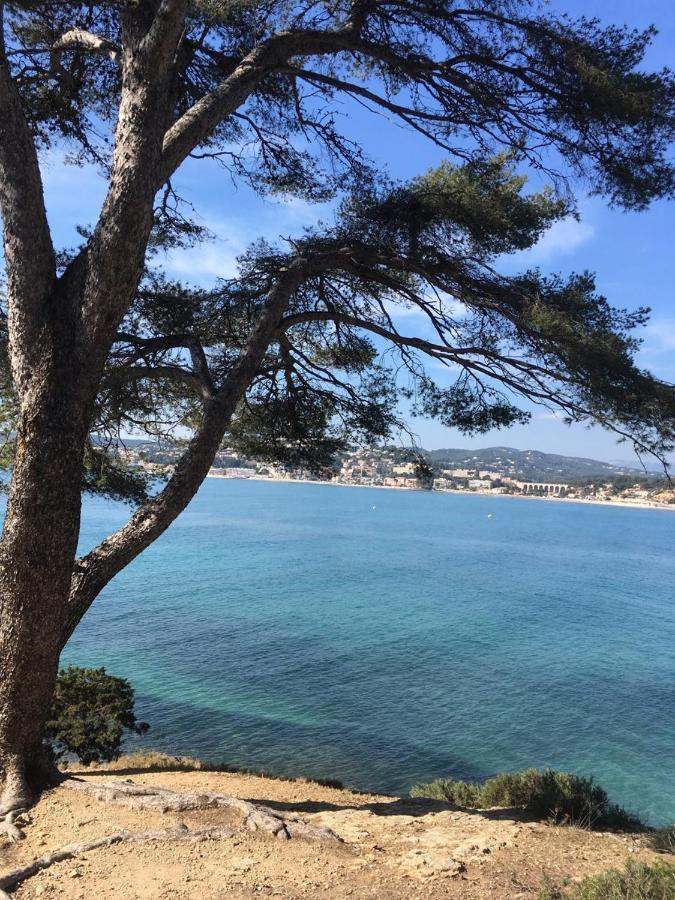 Les Galets de Sanary - Vue mer Eksteriør bilde