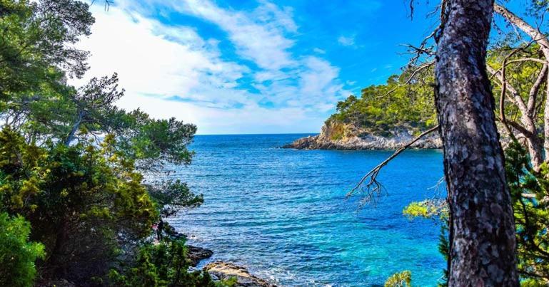 Les Galets de Sanary - Vue mer Eksteriør bilde